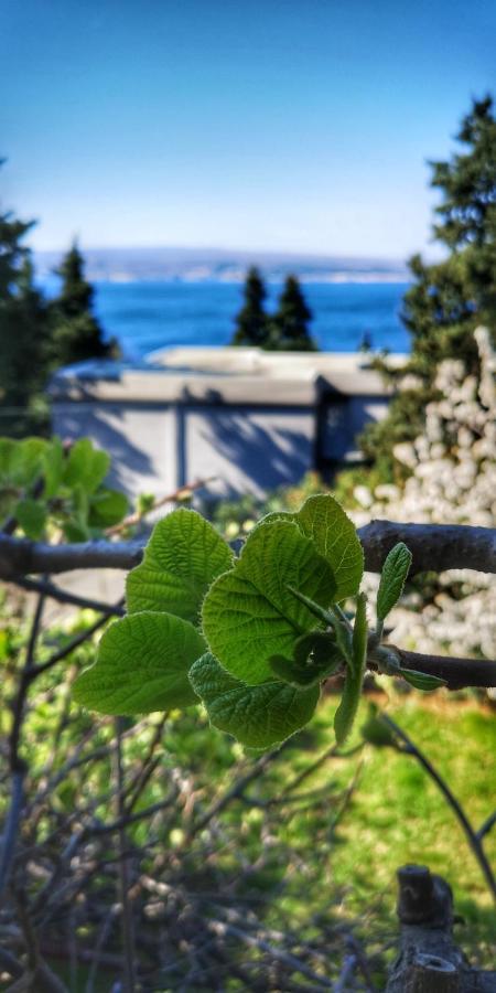Apartments Matejcic Crikvenica Dış mekan fotoğraf